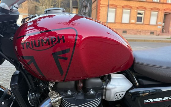 Gebrauchtmotorrad Triumph Scrambler 1200 X - Bild 2