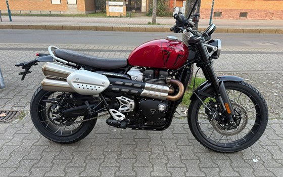 Gebrauchtmotorrad Triumph Scrambler 1200 X - Bild 4