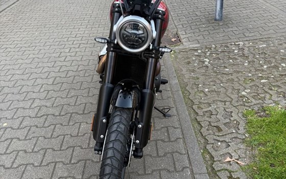Gebrauchtmotorrad Triumph Scrambler 1200 X - Bild 7