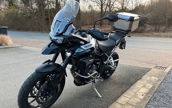 Gebrauchtmotorrad Triumph Tiger 900 GT Pro - Bild 5