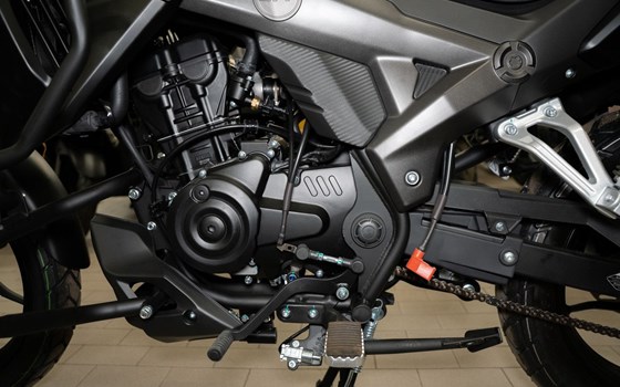 Neufahrzeug Motron X-Nord 125 - Bild 14