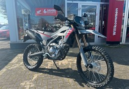 Neumotorrad Honda CRF300L