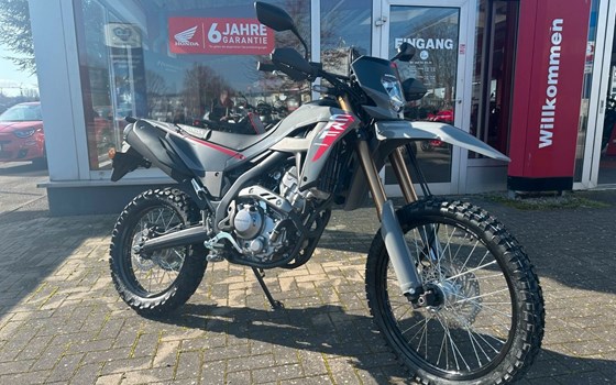 Neufahrzeug Honda CRF300L - Bild 1