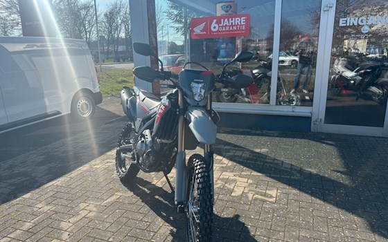 Neufahrzeug Honda CRF300L - Bild 2