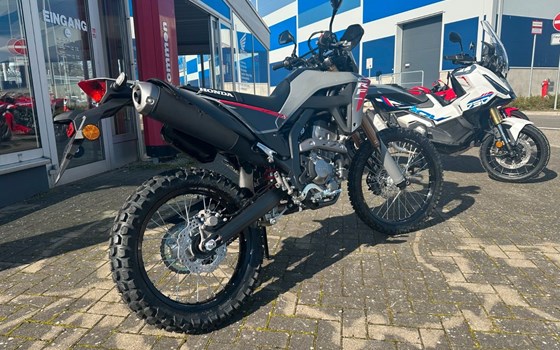Neufahrzeug Honda CRF300L - Bild 4