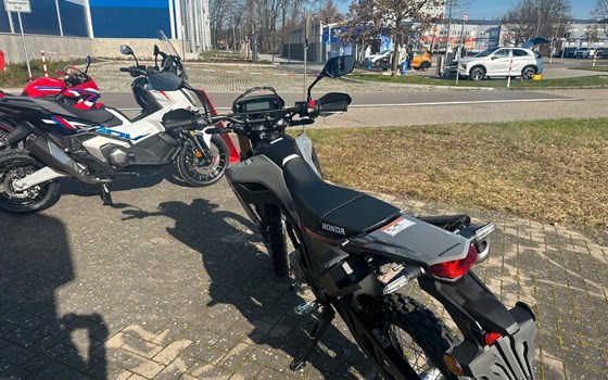 Neufahrzeug Honda CRF300L - Bild 5