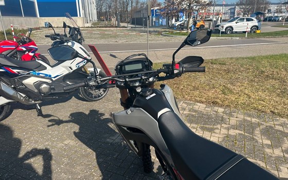 Neufahrzeug Honda CRF300L - Bild 6