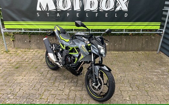 Neufahrzeug Kawasaki Z125 - Bild 1