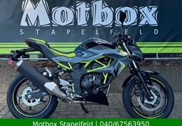 Neumotorrad Kawasaki Z125