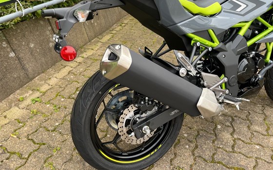 Neufahrzeug Kawasaki Z125 - Bild 8