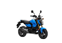 Neumotorrad Honda MSX125 Grom