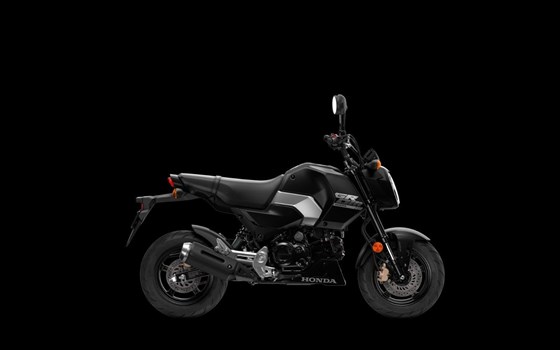 Neufahrzeug Honda MSX125 Grom - Bild 4