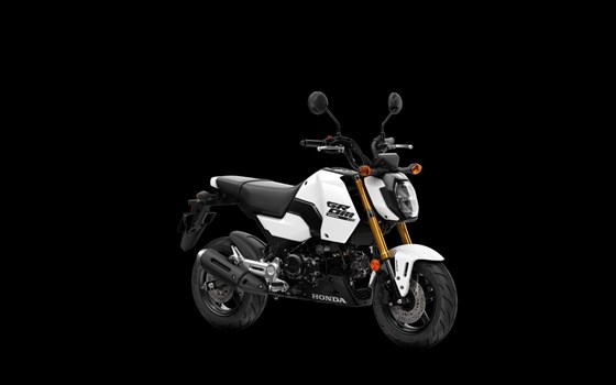 Neufahrzeug Honda MSX125 Grom - Bild 5