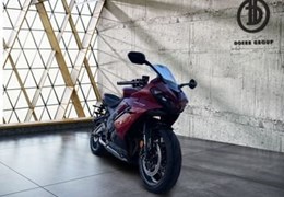 Neumotorrad Triumph Daytona 660