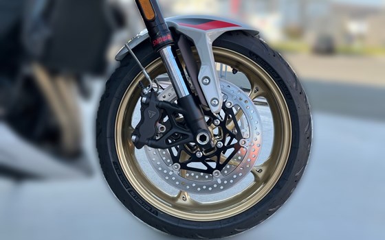 Neufahrzeug Triumph Trident 800 - Bild 11