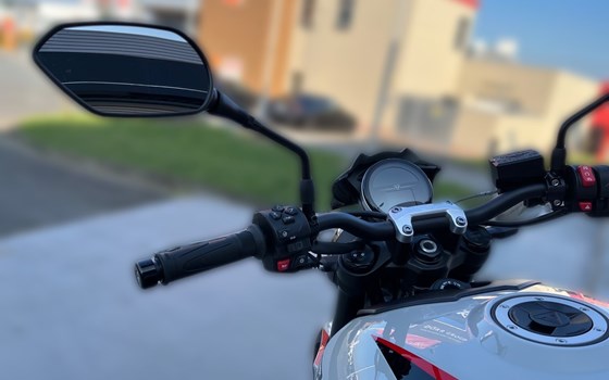 Neufahrzeug Triumph Trident 800 - Bild 15