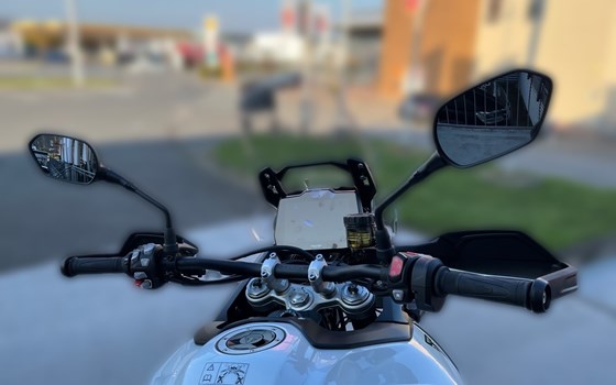 Neufahrzeug Triumph Tiger 900 Alpine Edition - Bild 15