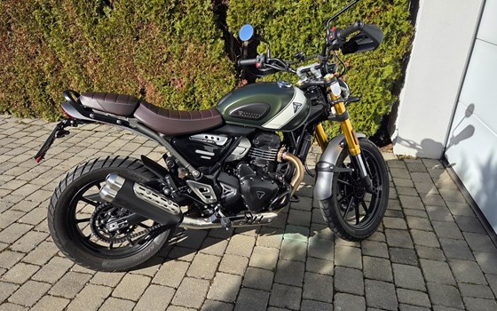 Gebrauchtmotorrad Triumph Scrambler 400 X - Bild 5