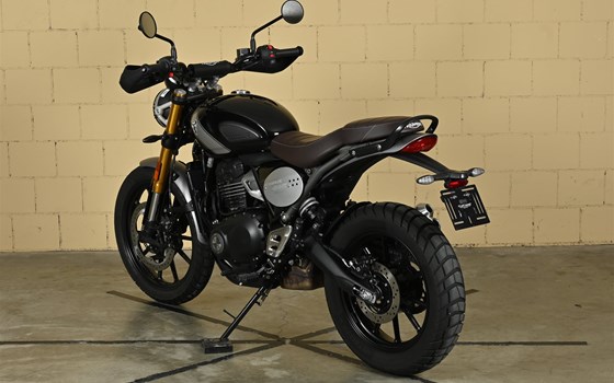 Motorrad Occasion Triumph Scrambler 400 X - Bild 5