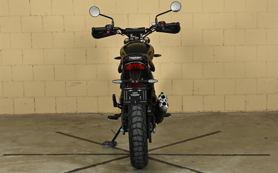 Motorrad Occasion Triumph Scrambler 400 X - Bild 6