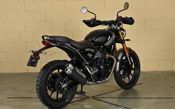 Motorrad Occasion Triumph Scrambler 400 X - Bild 7