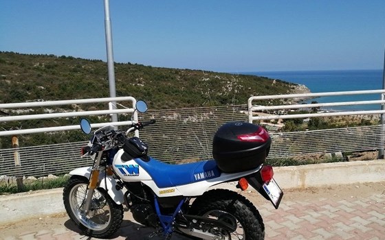 Gebrauchtmotorrad Yamaha TW 200 - Bild 2