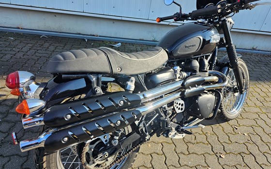 Gebrauchtmotorrad Triumph Scrambler 900 - Bild 6