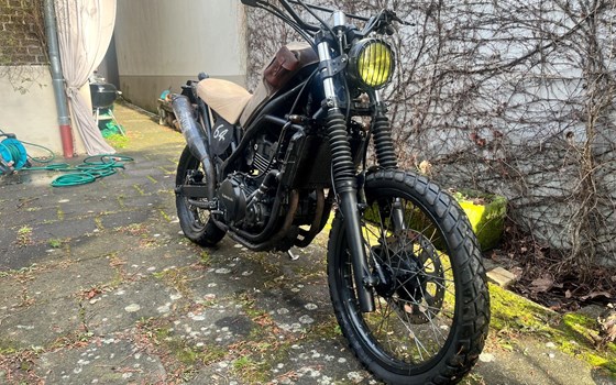 Gebrauchtmotorrad Kawasaki KLE 500 - Bild 2