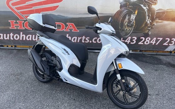 Neufahrzeug Honda SH350i - Bild 1