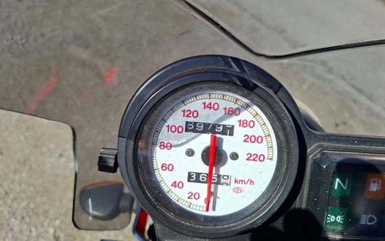 Gebrauchtmotorrad Ducati Monster 900 - Bild 5