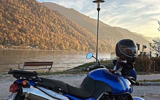 Gebrauchtmotorrad Triumph Tiger 955i - Bild 4