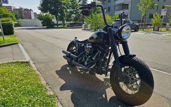 Motorrad Occasion Harley-Davidson Softail Slim FLS - Bild 5