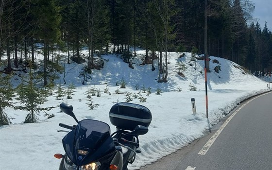 Gebrauchtmotorrad Yamaha TDM 900 - Bild 4