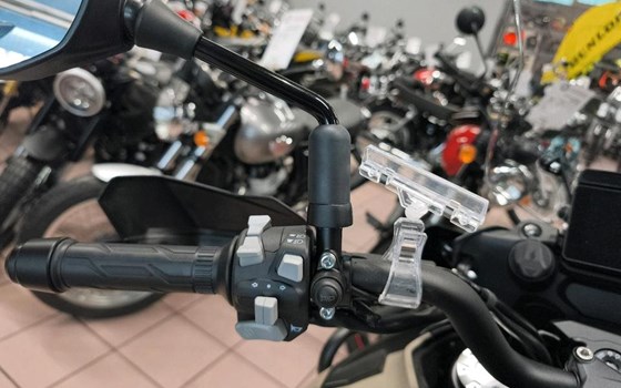 Neufahrzeug Benelli TRK 702 X - Bild 8