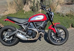 Gebrauchte Ducati Scrambler Icon