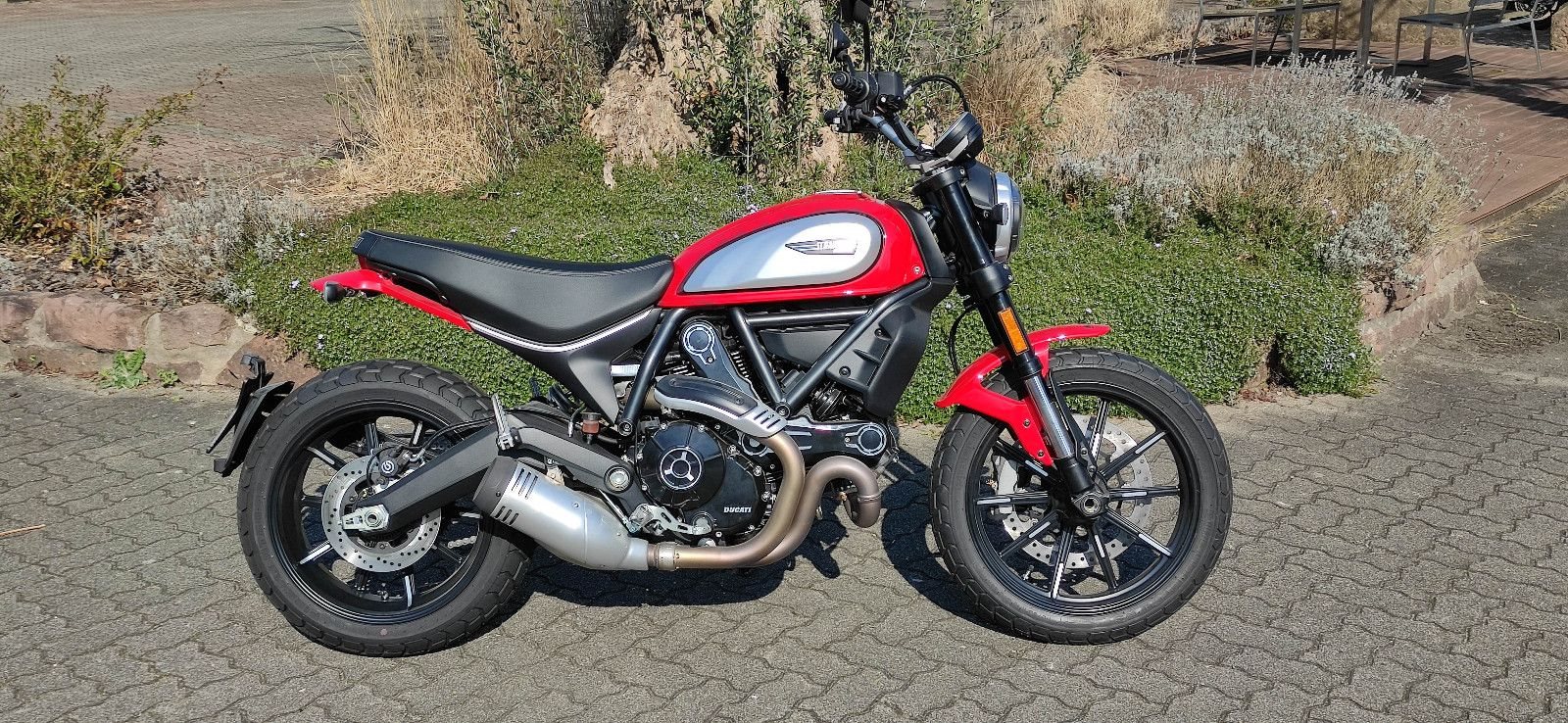 Ducati Scrambler Icon