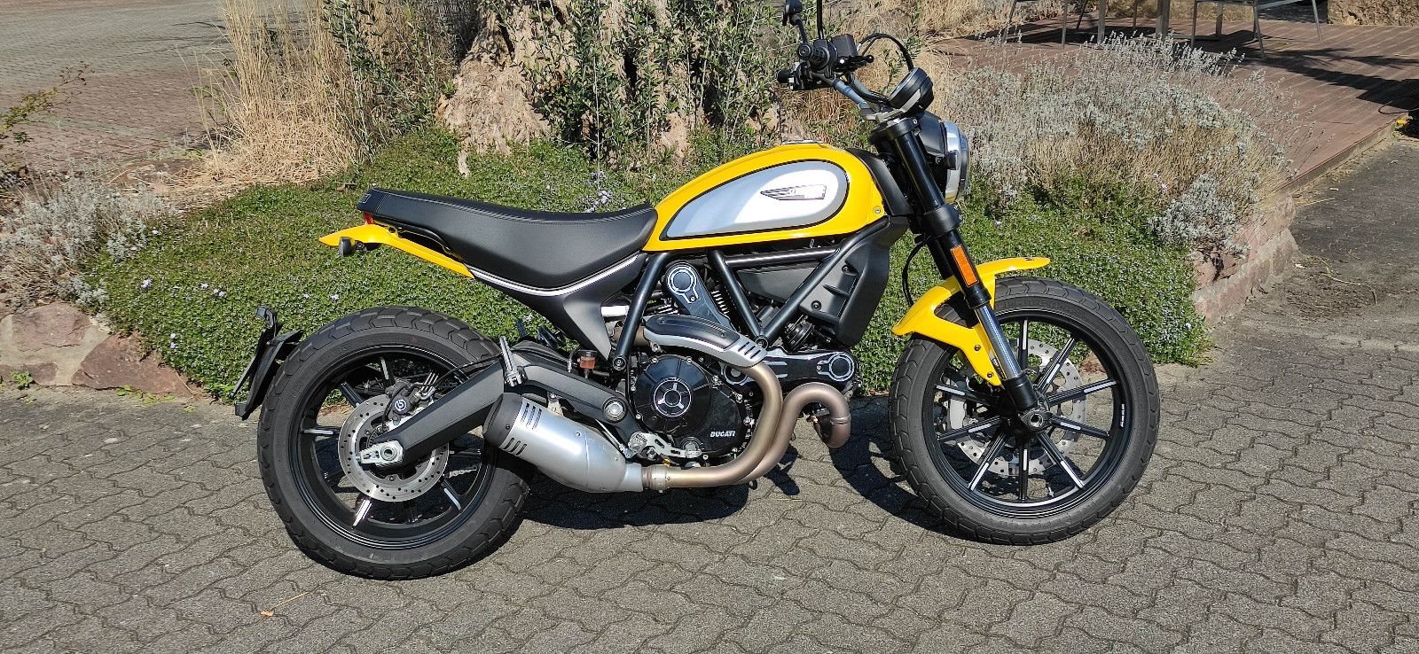 Ducati Scrambler Icon