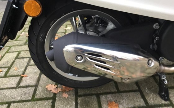 Neufahrzeug Vespa 125 Primavera - Bild 14