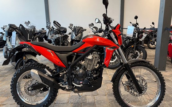 Neufahrzeug Beta Alp 4.0 - Bild 1