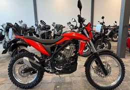 Neumotorrad Beta Alp 4.0