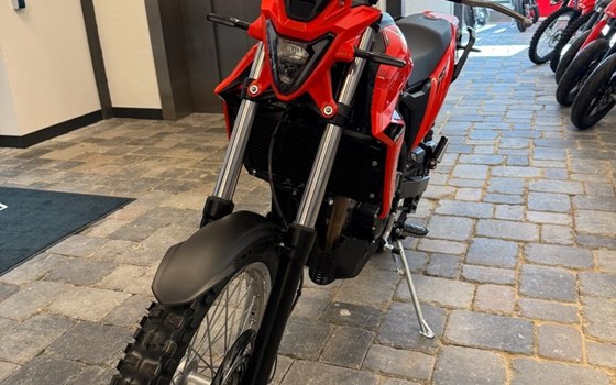 Neufahrzeug Beta Alp 4.0 - Bild 9