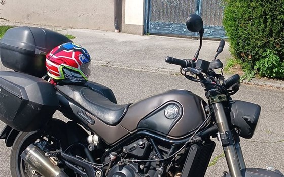 Gebrauchtmotorrad Benelli Leoncino 500 - Bild 1