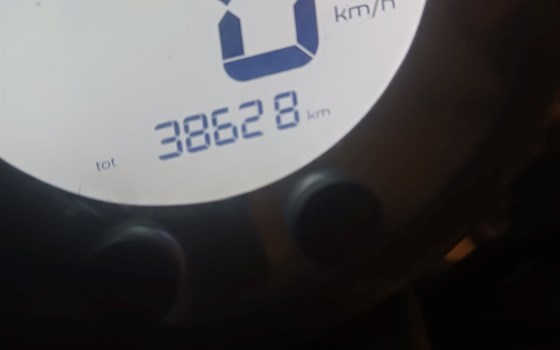 Gebrauchtmotorrad Benelli Leoncino 500 - Bild 2