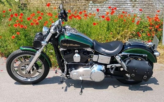Gebrauchtmotorrad Harley-Davidson Dyna Low Rider FXDL - Bild 1