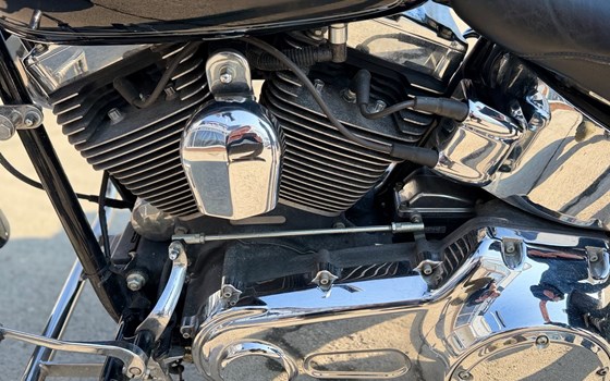 Gebrauchtmotorrad Harley-Davidson Softail Custom FXSTC - Bild 10