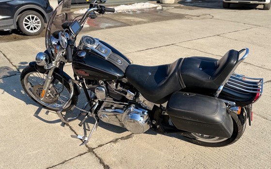 Gebrauchtmotorrad Harley-Davidson Softail Custom FXSTC - Bild 3