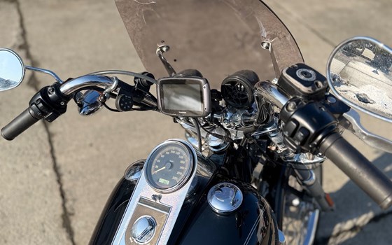 Gebrauchtmotorrad Harley-Davidson Softail Custom FXSTC - Bild 7