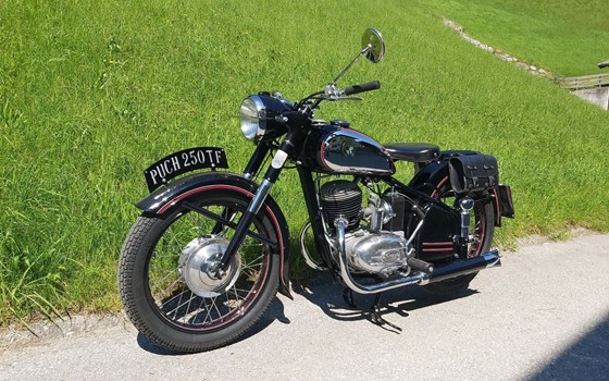 Gebrauchtmotorrad Puch 250 TF - Bild 2