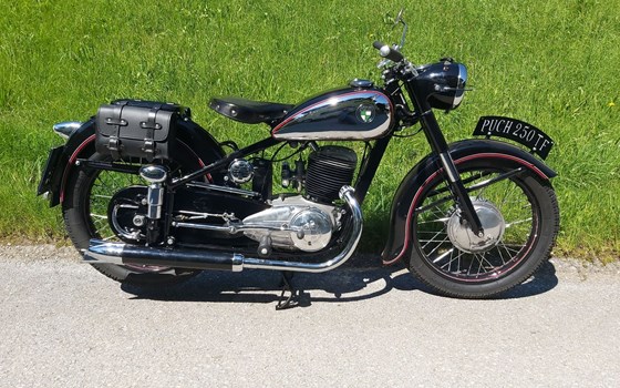 Gebrauchtmotorrad Puch 250 TF - Bild 5