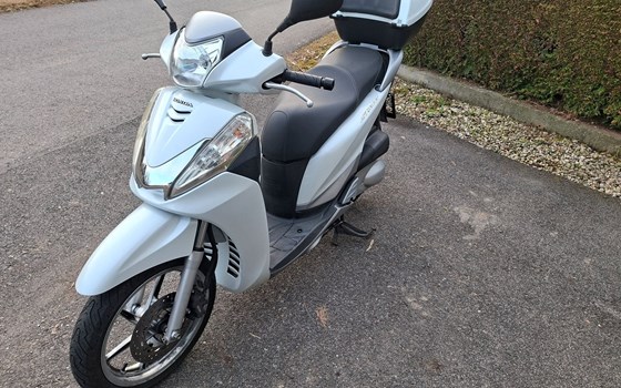 Gebrauchtmotorrad Honda SH300i - Bild 1